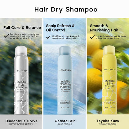 HALOVIDA Dry Shampoo Pack of 3 for Dark Hair — Invisible Residue, Oil Absorption, 72h Freshness