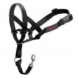 HALTI Headcollar - Black