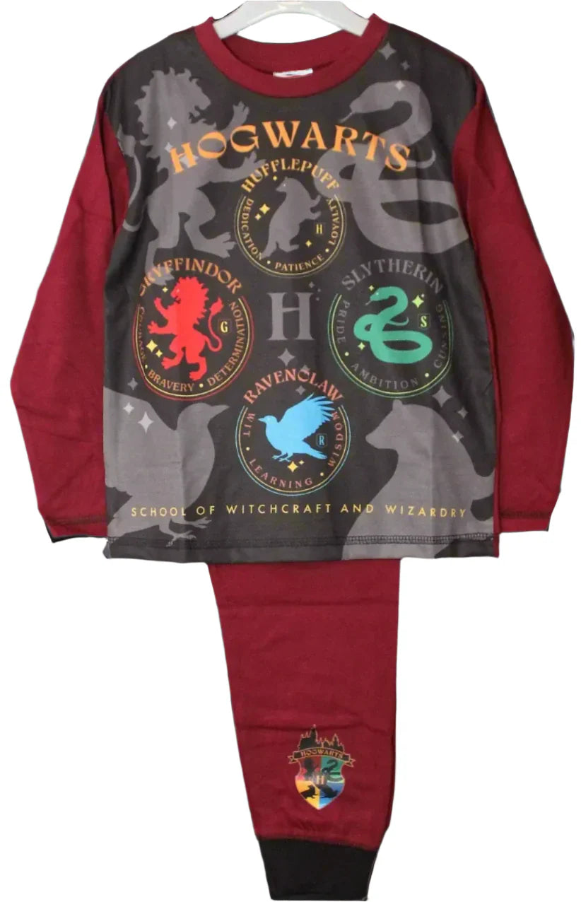 P1001 HARRY POTTER