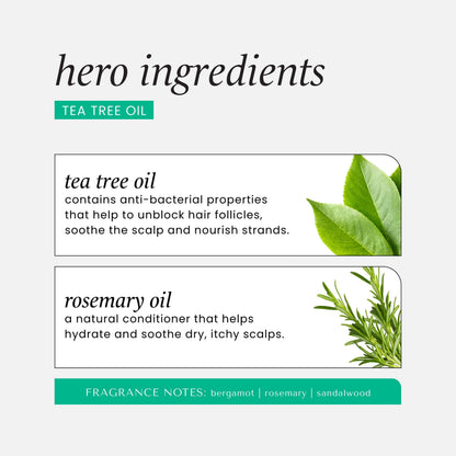 HASK Dry Shampoo Duo (4.3 oz x2) & Argan Oil Deep Conditioner Packette – Tea Tree, Color Safe