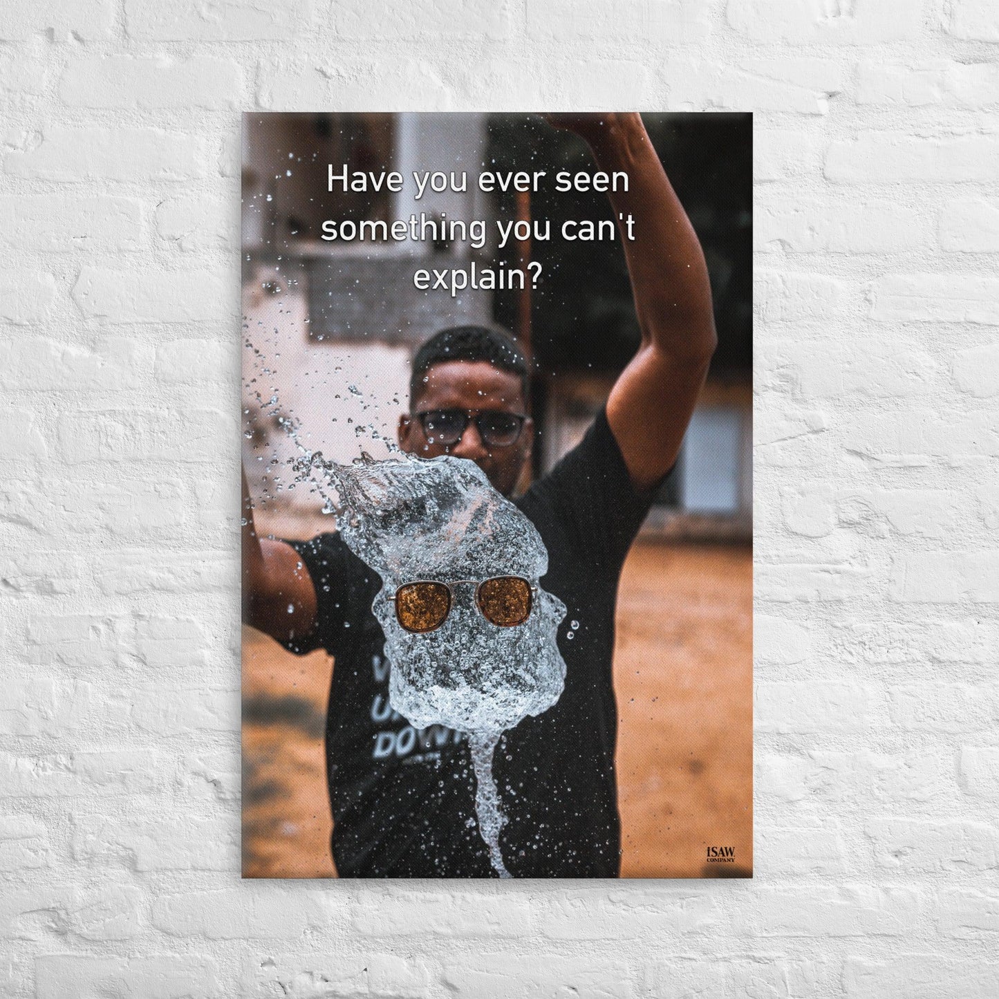 Have You Ever Seen Something You Can't Explain - Canvas Print