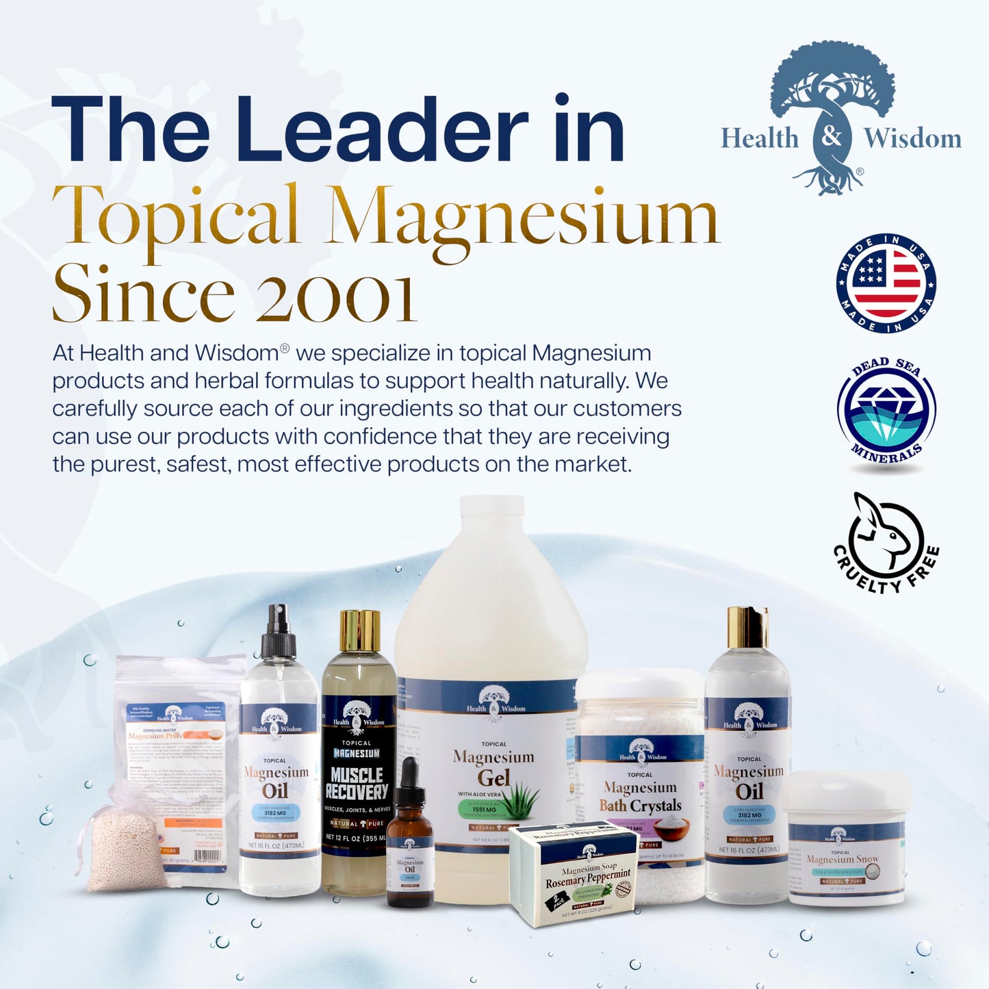 Health and Wisdom Pure Magnesium Gel with Seaweed Extract | Enhanced Absorption & Skin Moisture | 64 Fl oz