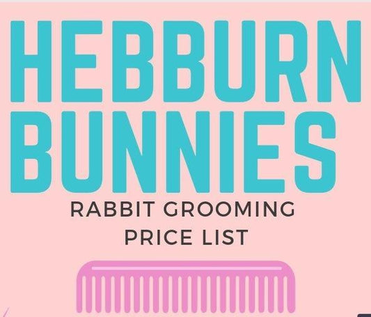 Hebburn Bunnies - Rabbit Grooming