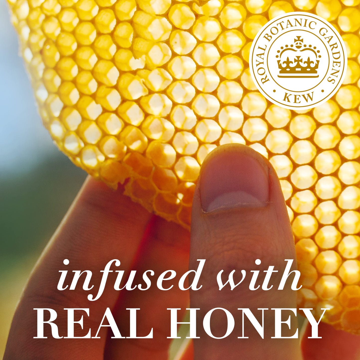 Herbal Essences Bio: Renew Honey & Vitamin B Conditioner — Sulfate-Free, Color-Safe, 13.5 oz