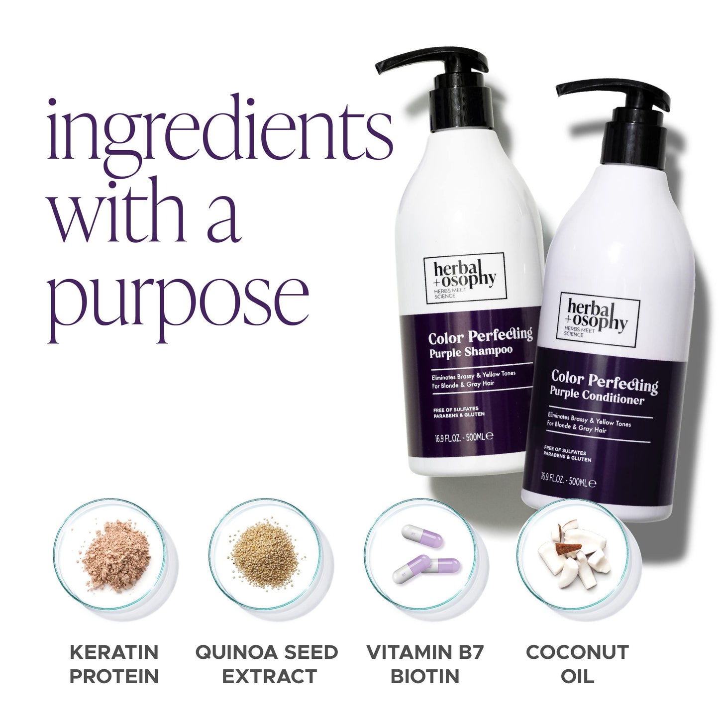 Herbalosophy Purple Shampoo & Conditioner Set for Blonde & Gray Hair – Eliminates Brass & Yellow Tones | 2 x 16.9 fl oz | Sulfate, Paraben & Gluten Free