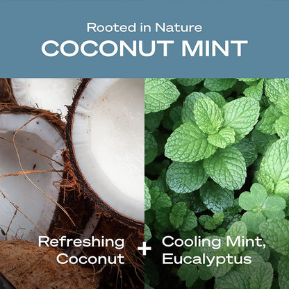 Hey Humans Aluminum-Free Deodorant – Coconut Mint for All-Day Freshness