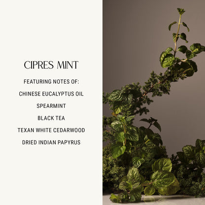 Homecourt Hand Cream – Non-Greasy Hydration for Soft Hands (Cipres Mint, 12 oz) | Dermatologist Tested, Clean Formula