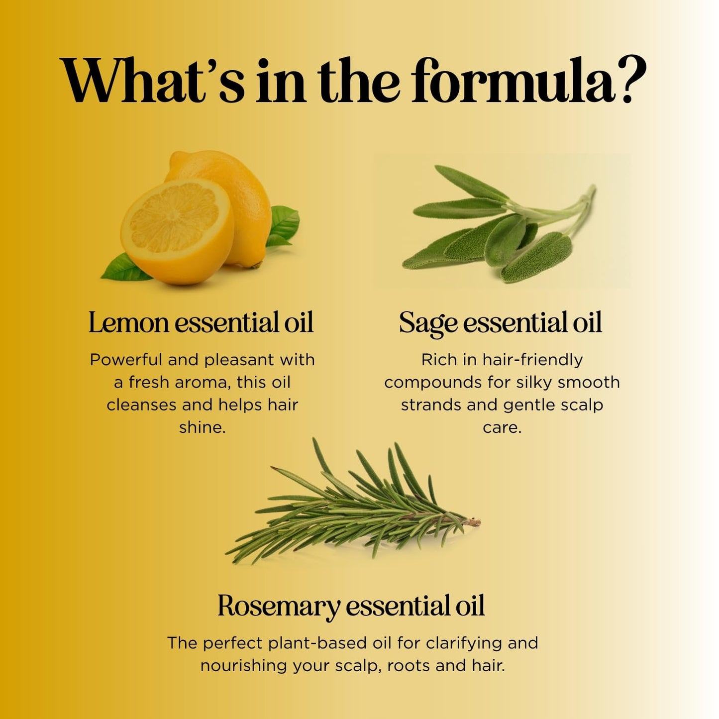 HONEYDEW Lemon Sage Shampoo for Oily Hair — Sulfate-Free Clarifying Shampoo with Lemon, Sage & Tea Tree
