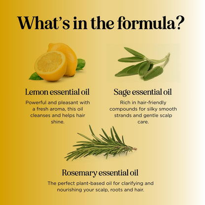 HONEYDEW Lemon Sage Shampoo for Oily Hair — Sulfate-Free Clarifying Shampoo with Lemon, Sage & Tea Tree