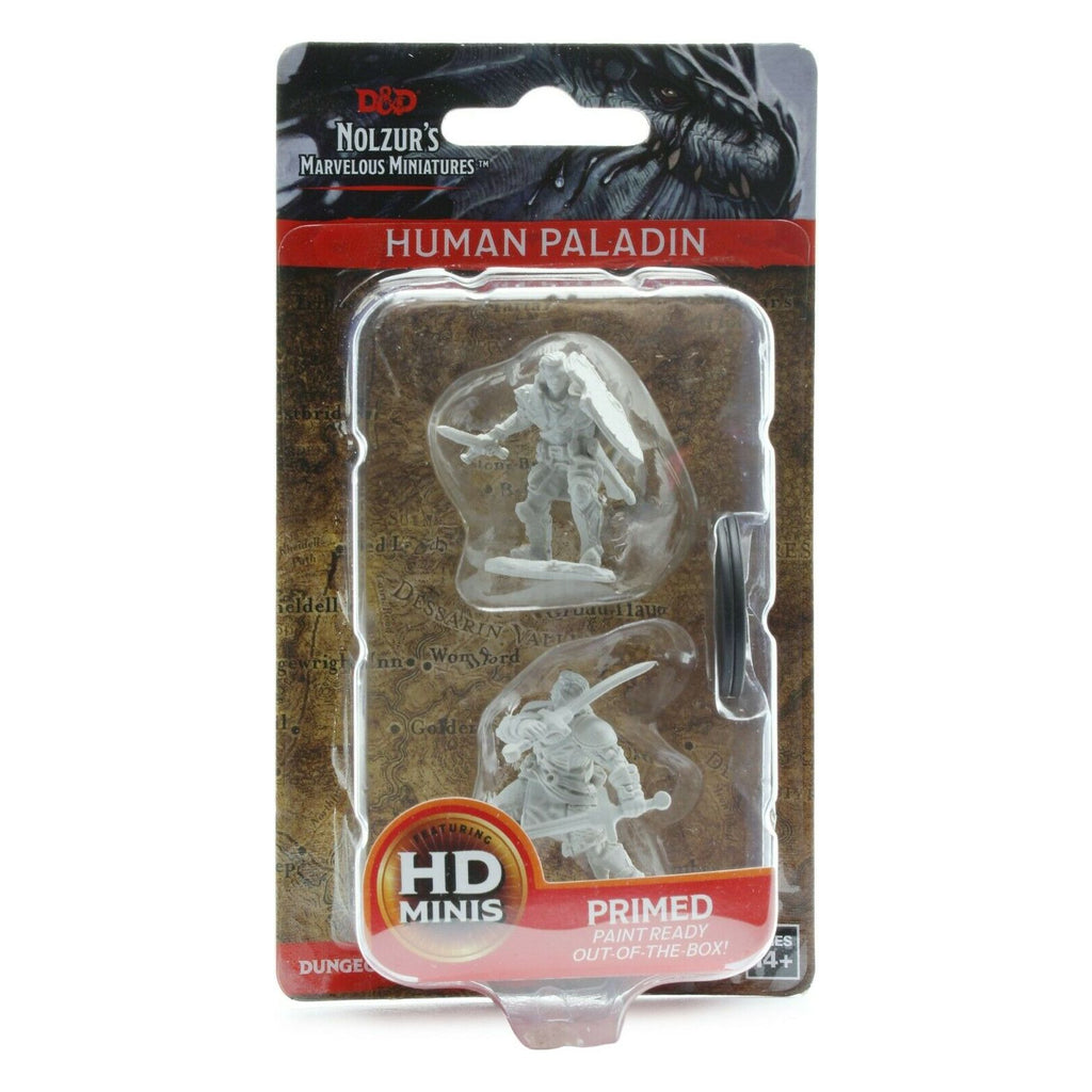 Human Male Paladin: D&D Nolzur's Marvelous Unpainted Miniatures (W3)
