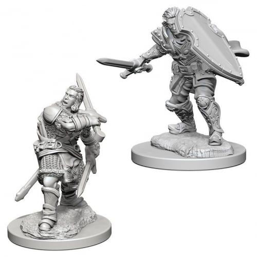 Human Male Paladin: D&D Nolzur's Marvelous Unpainted Miniatures (W3)