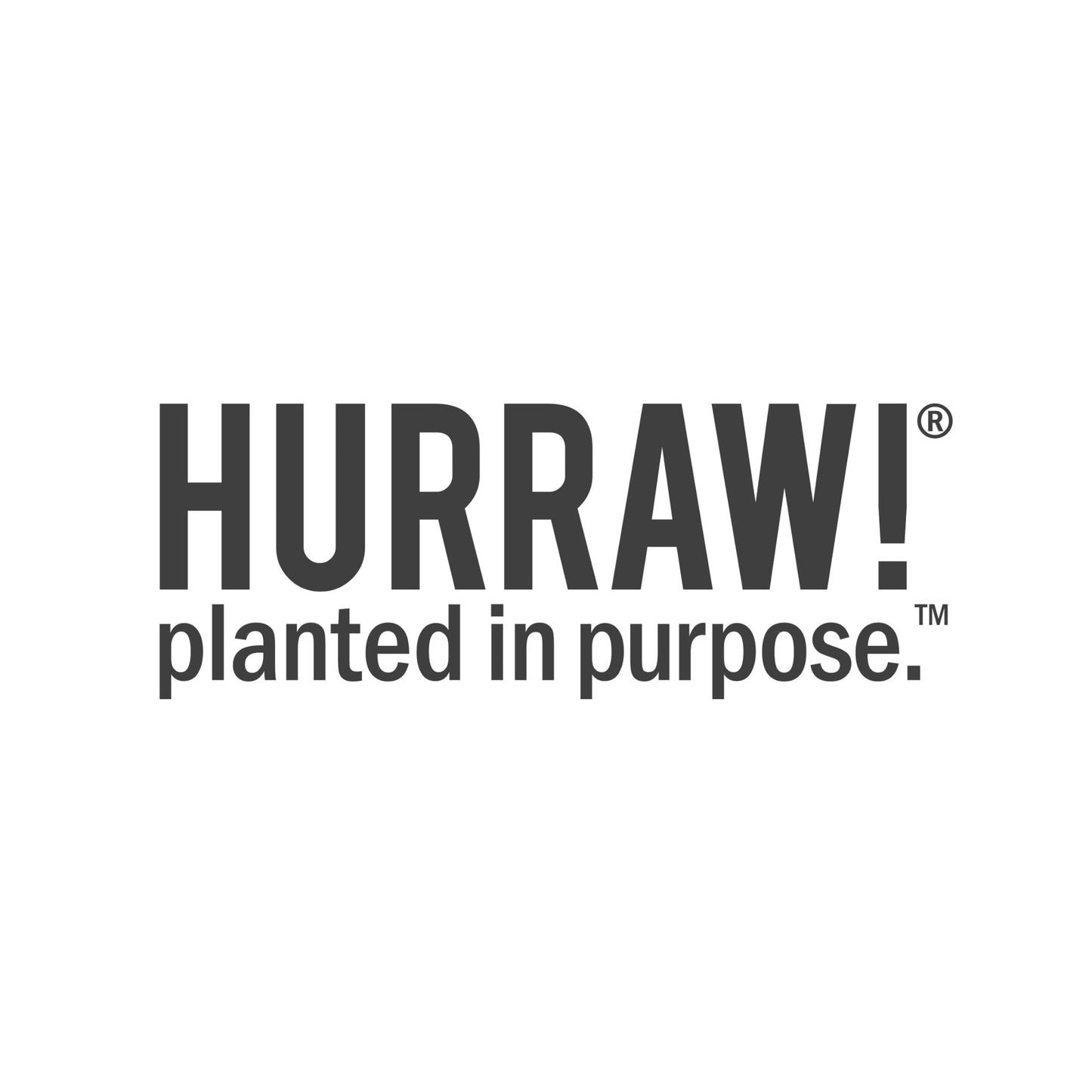 Hurraw! Coconut Lip Balm – 2 Pack | Organic, Vegan, Cruelty-Free, Gluten Free | Made in USA