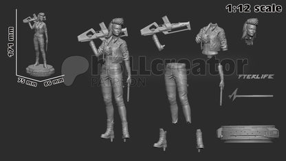 Rogue Amendiares from Cyberpunk 2077 (fan art) | Full Model or Bust | Miniature scale 1:12 | h3LL Creator | DIY Model Kit