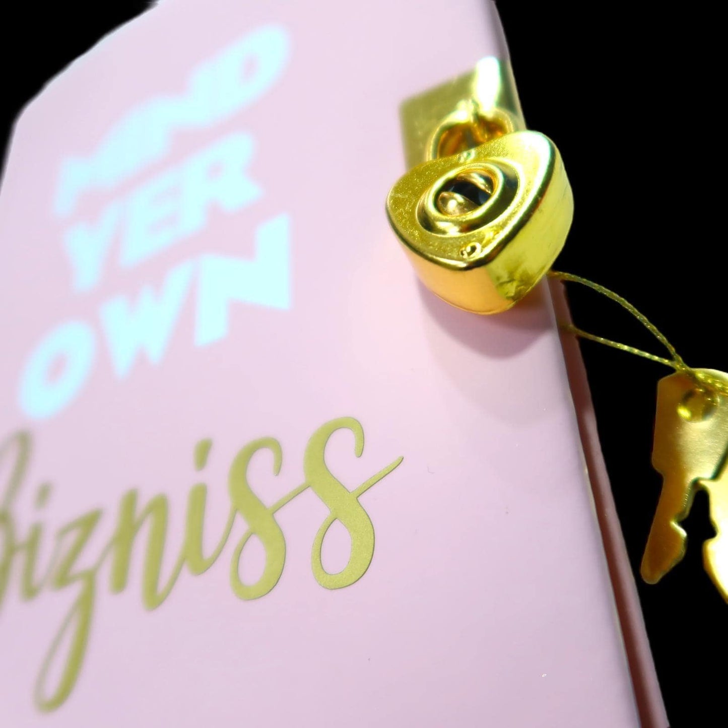 Mind Yer Own Bizniss - Lockable Journal