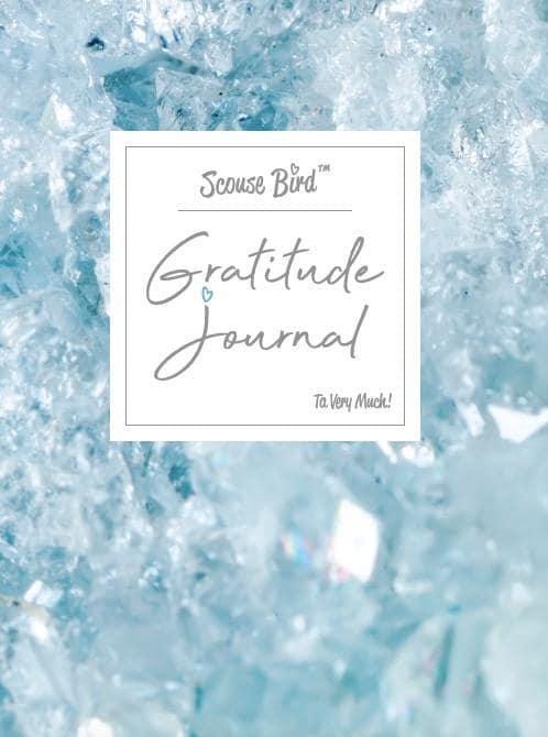 Gratitude & Intention Journal