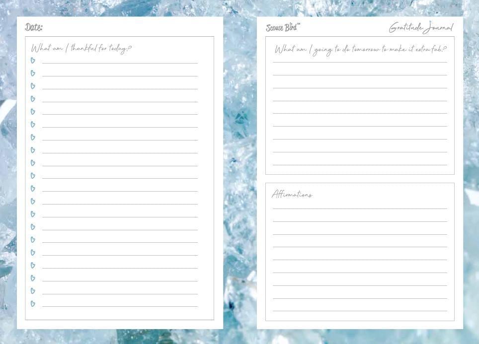Gratitude & Intention Journal