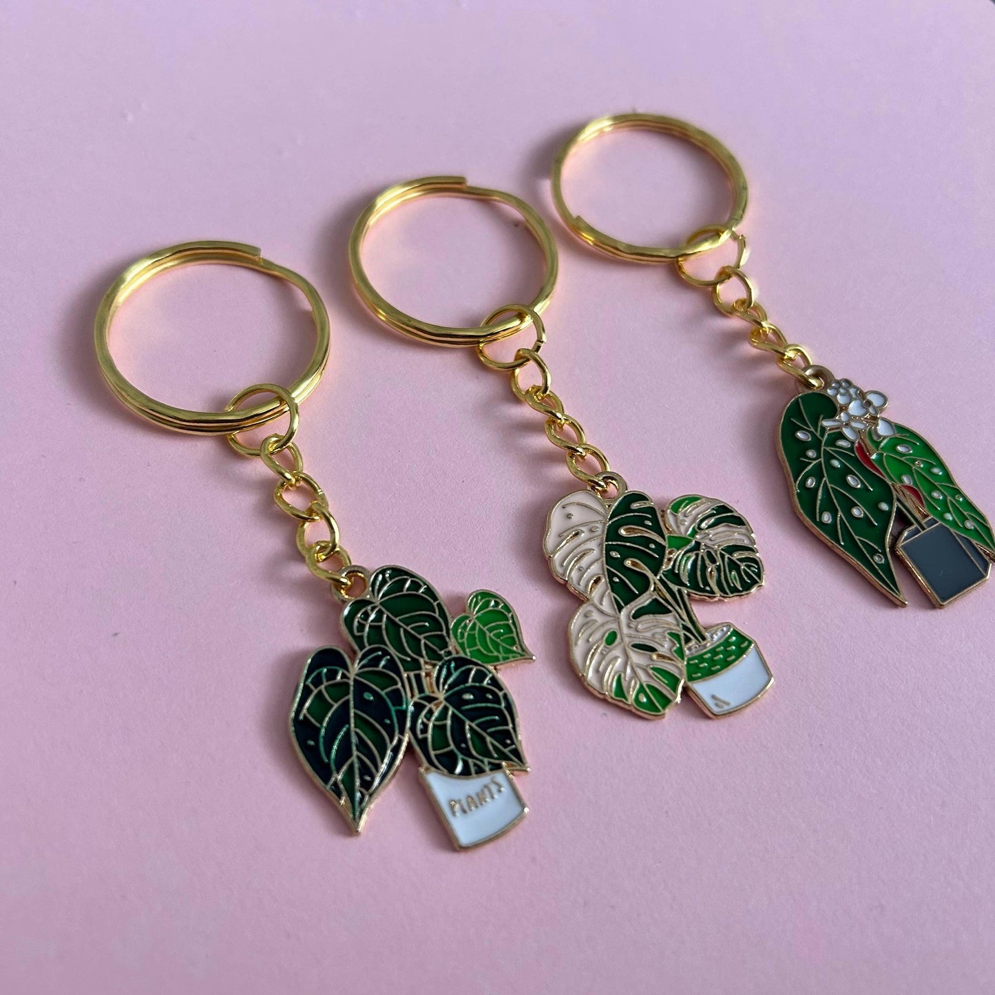 Houseplant Keyring's