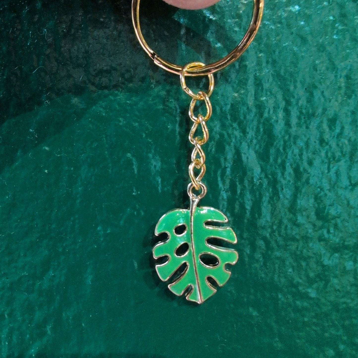 Houseplant Keyring's