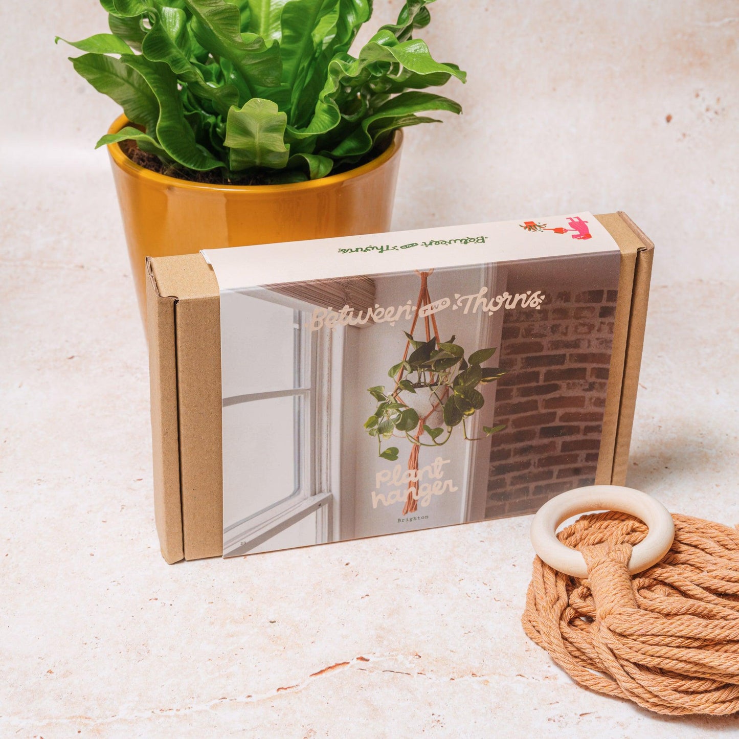 Macrame Hanger With Wooden Ring