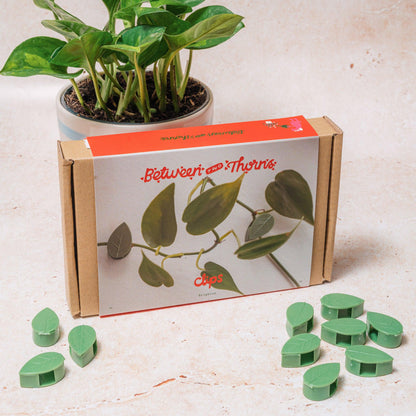 Plant Wall clips