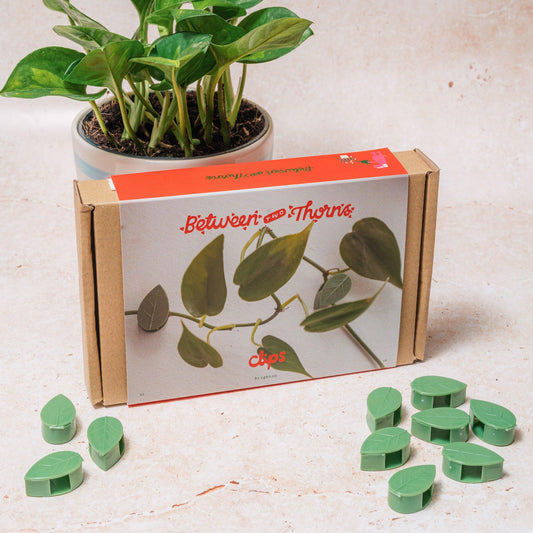 Plant Wall clips