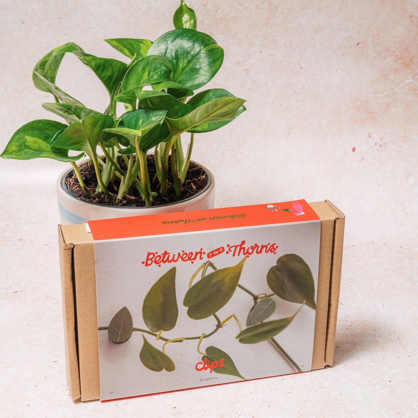 Plant Wall clips