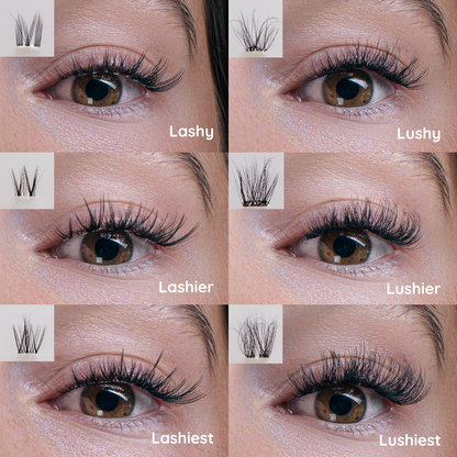 Lushy Lashes