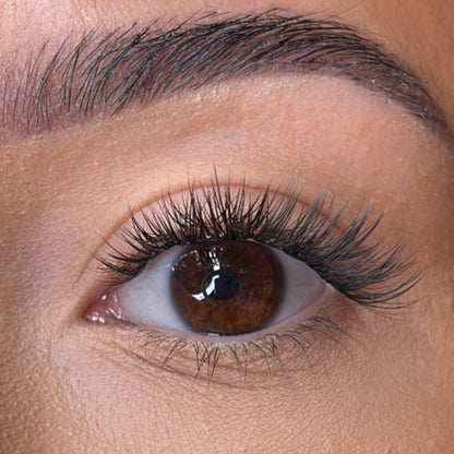 Kelly Pre Styled Lash Ribbons®