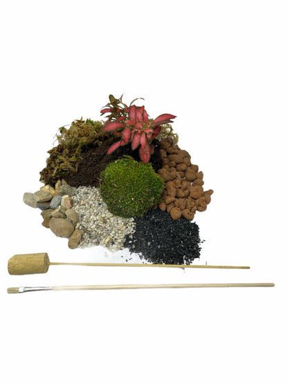 Terrarium Kit ingredients - small no glass