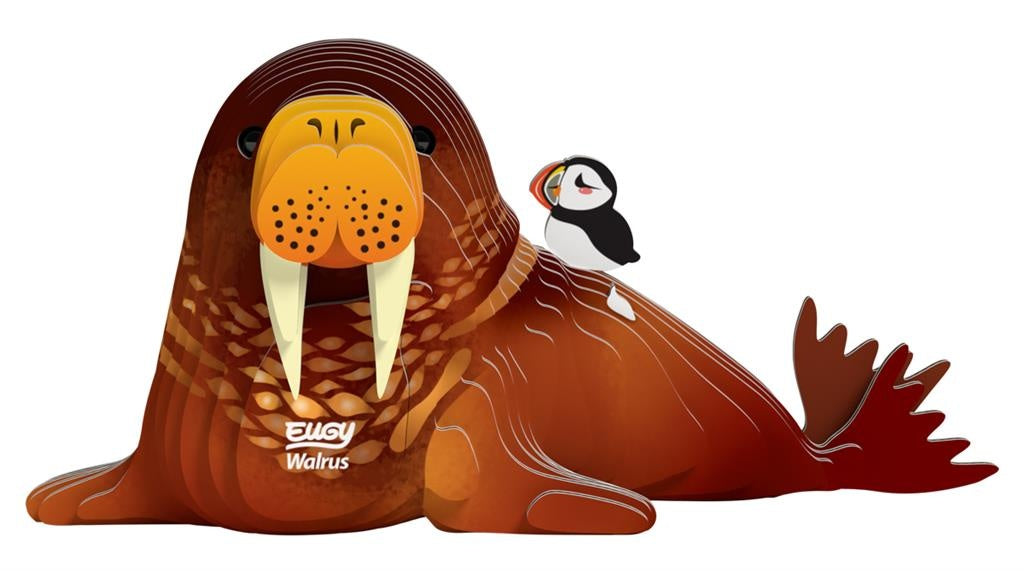 EUGY Walrus