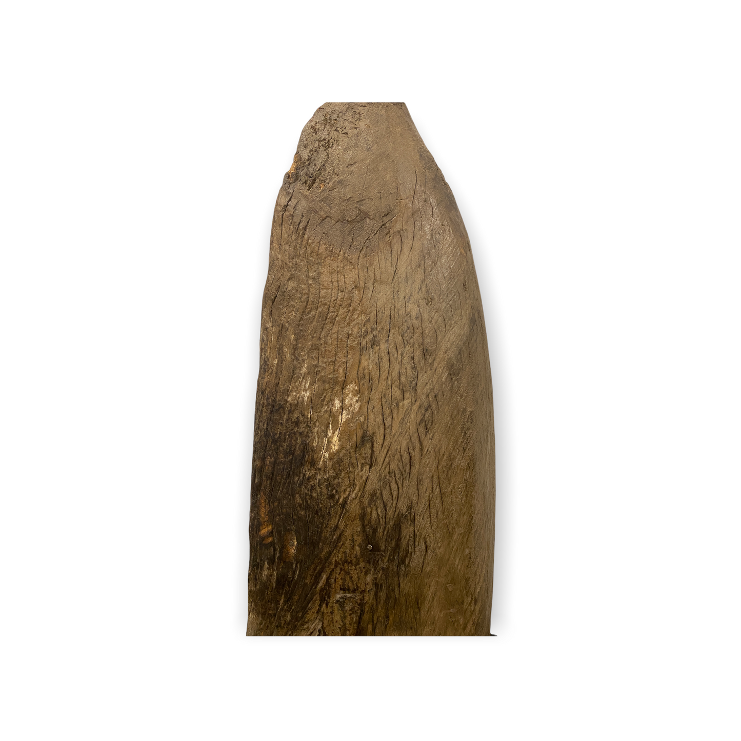 Mokoro Canoe Shelf