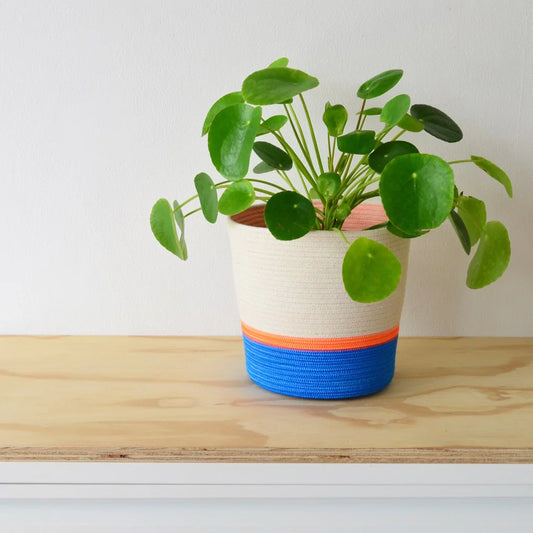 Planter Basket 100% cotton (17.3) Blue