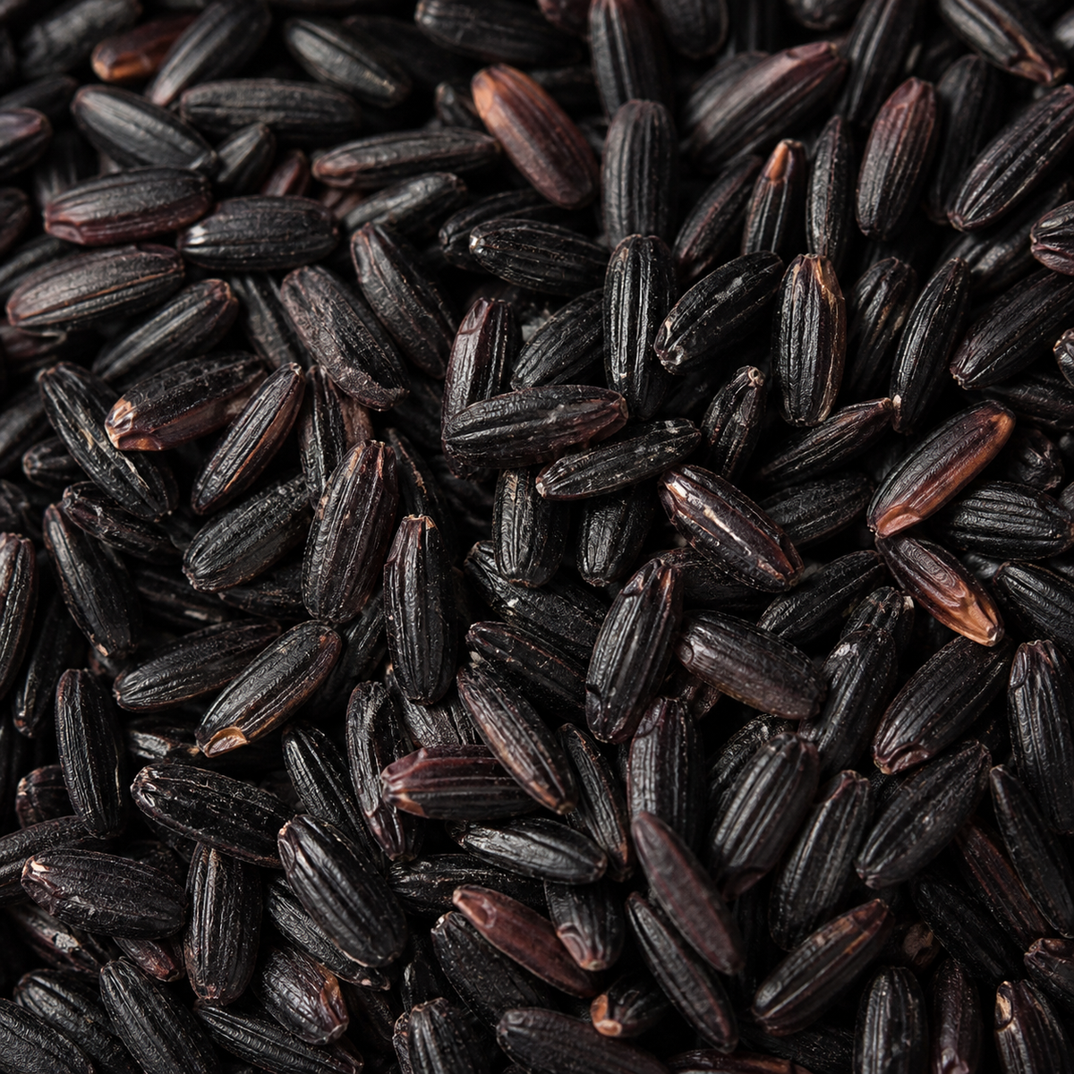 Infinity Foods Bulk Organic Black Rice