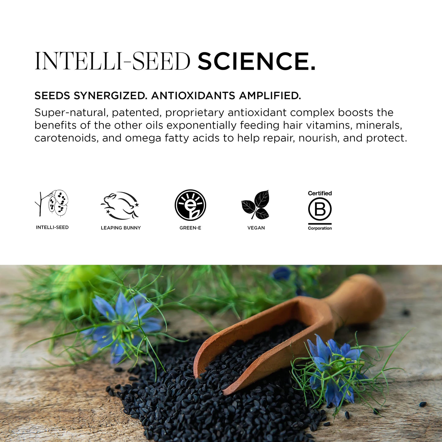 Intelligent Nutrients InspiraMint Conditioner – Invigorating Mint for Fine & Oily Hair