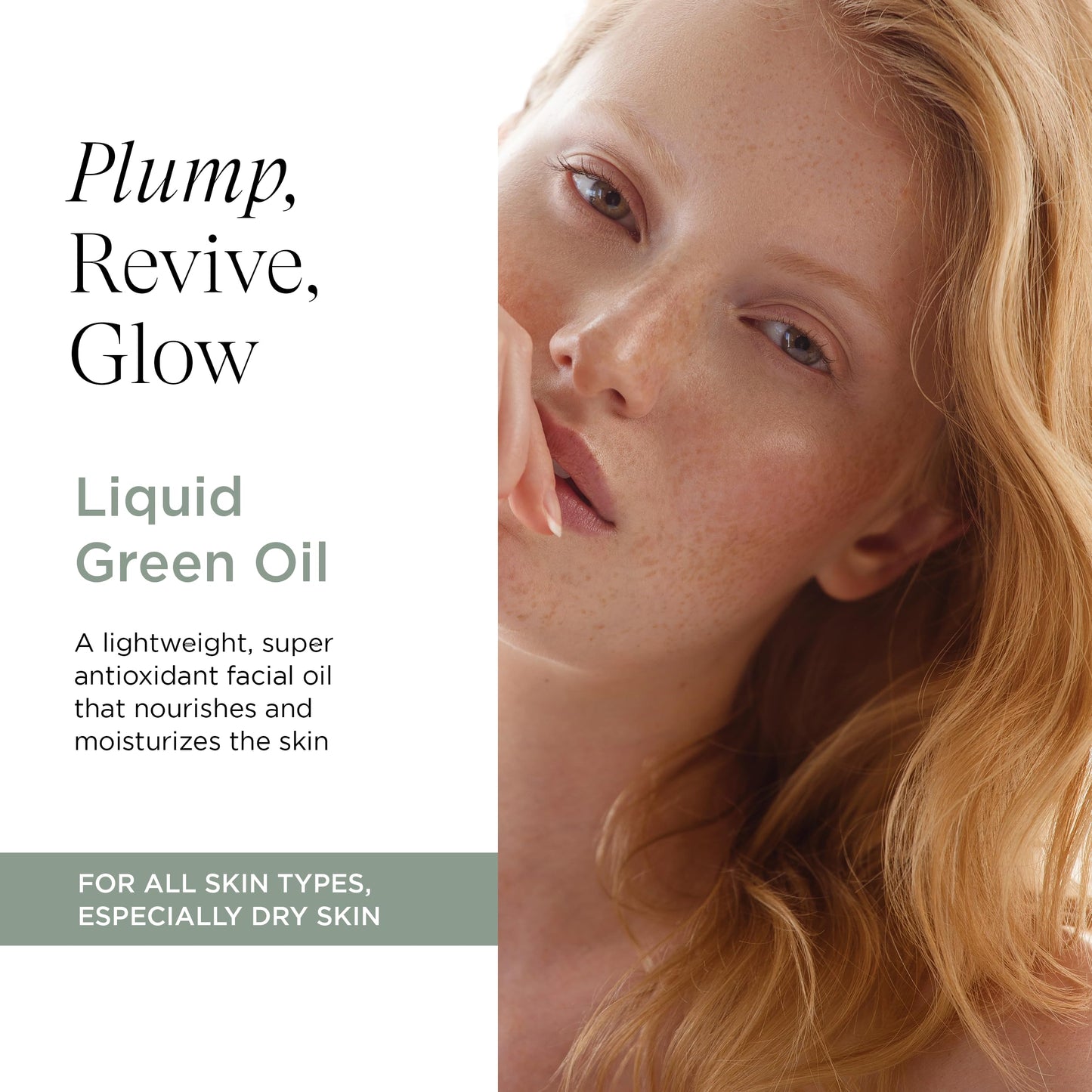 Intelligent Nutrients Liquid Green Face Oil – Lightweight Organic Facial Oil for Hydration