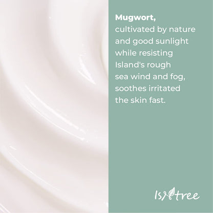 ISNTREE Mugwort Calming Cream 50ml – Soothes Sensitive Skin & Balances Moisture