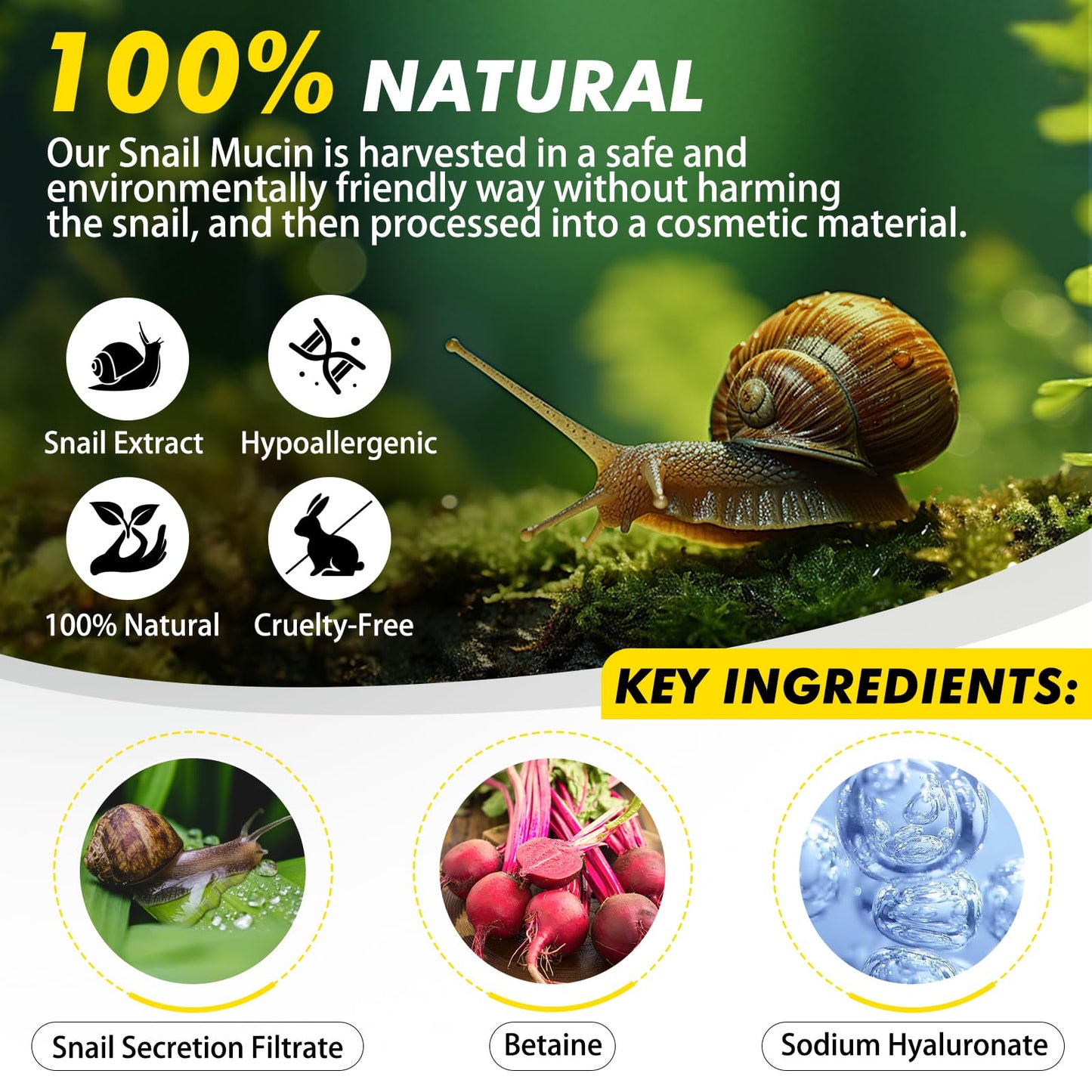 ITSDAWN 2 Pack Snail Mucin 92% Cream 100g – Hydrating Moisturizer for Dry & Sensitive Skin