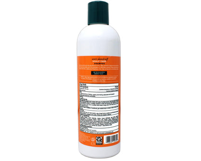 Jason Dandruff Relief Treatment Shampoo 12 oz (Pack of 2) – Sulfur & Salicylic Acid