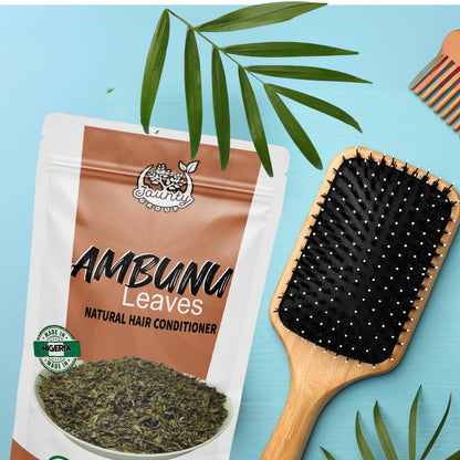 Jaunty Store Ambunnu Leaves 50g – Herbal Hair Care Shampoo for Growth & Scalp Repair (Chad)