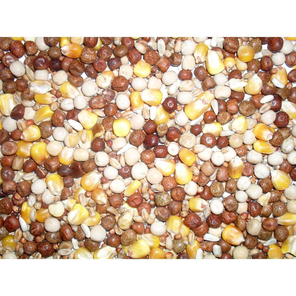 Johnston & Jeff All Rounder Pigeon Corn