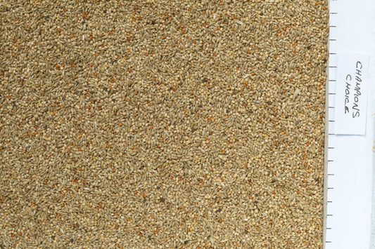 Johnston & Jeff Champions Choice Budgieseed