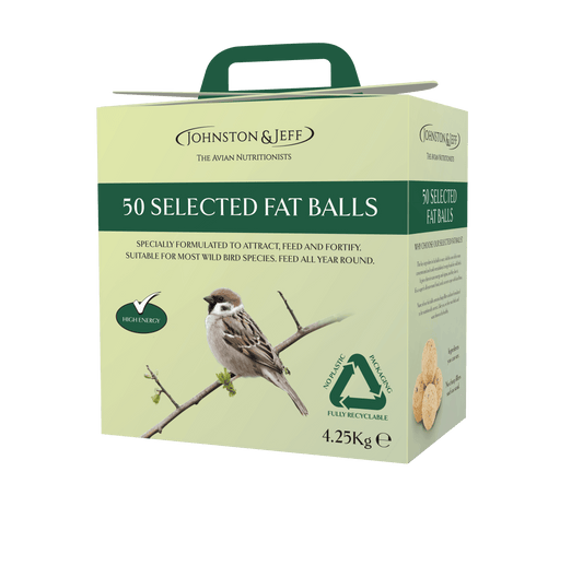 Johnston & Jeff Fatballs Refill No Nets Box x50