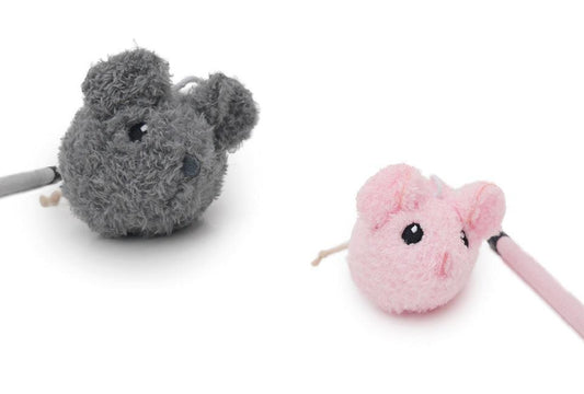 Jolly Moggy Mice Teaser