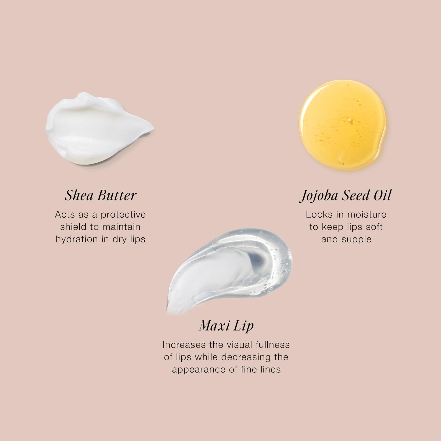 Jouer Essential Lip Enhancer Shine Balm – Rose Tint, Jojoba Oil, Maxi Lip