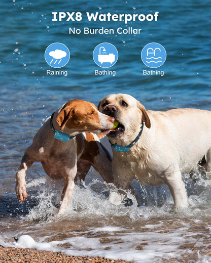 Jugbow 2 Dogs Training Collar with Remote – 4200FT Range, IPX7 Waterproof, Dual-Channel