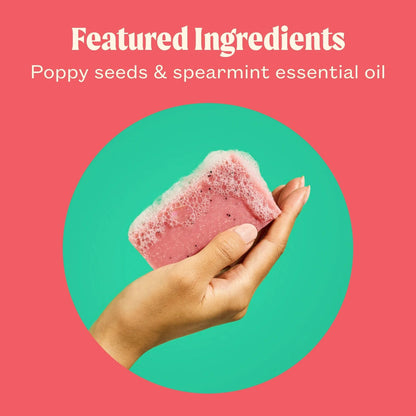 JUKEBOX Watermelon Disco Soap – Natural Cold-Process Bar, Heavy Scrub, 4.5oz (3 Pack)