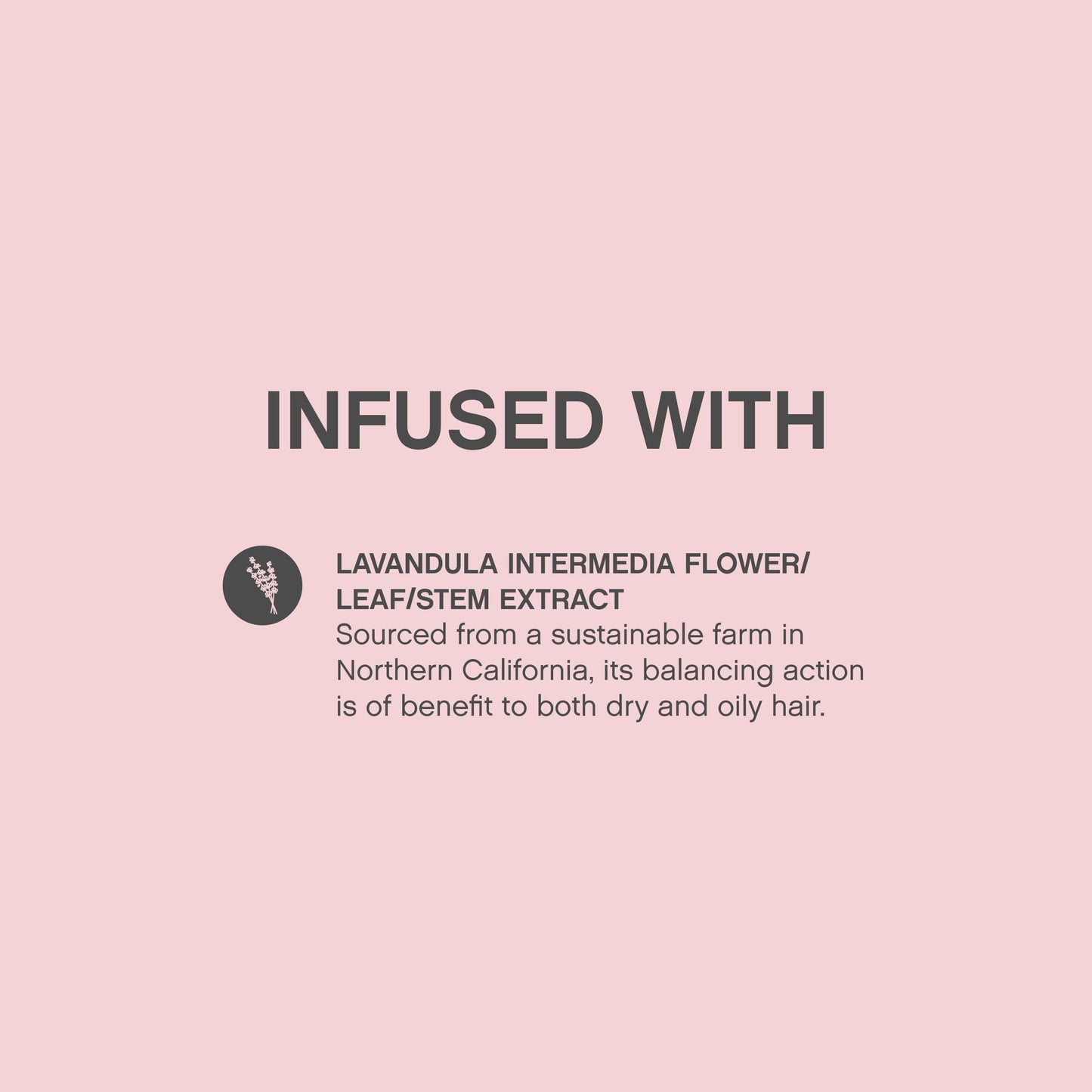 KEVIN.MURPHY ANTI.GRAVITY – Volumising & Texturising Lotion for All Hair Types (Pack of 2)