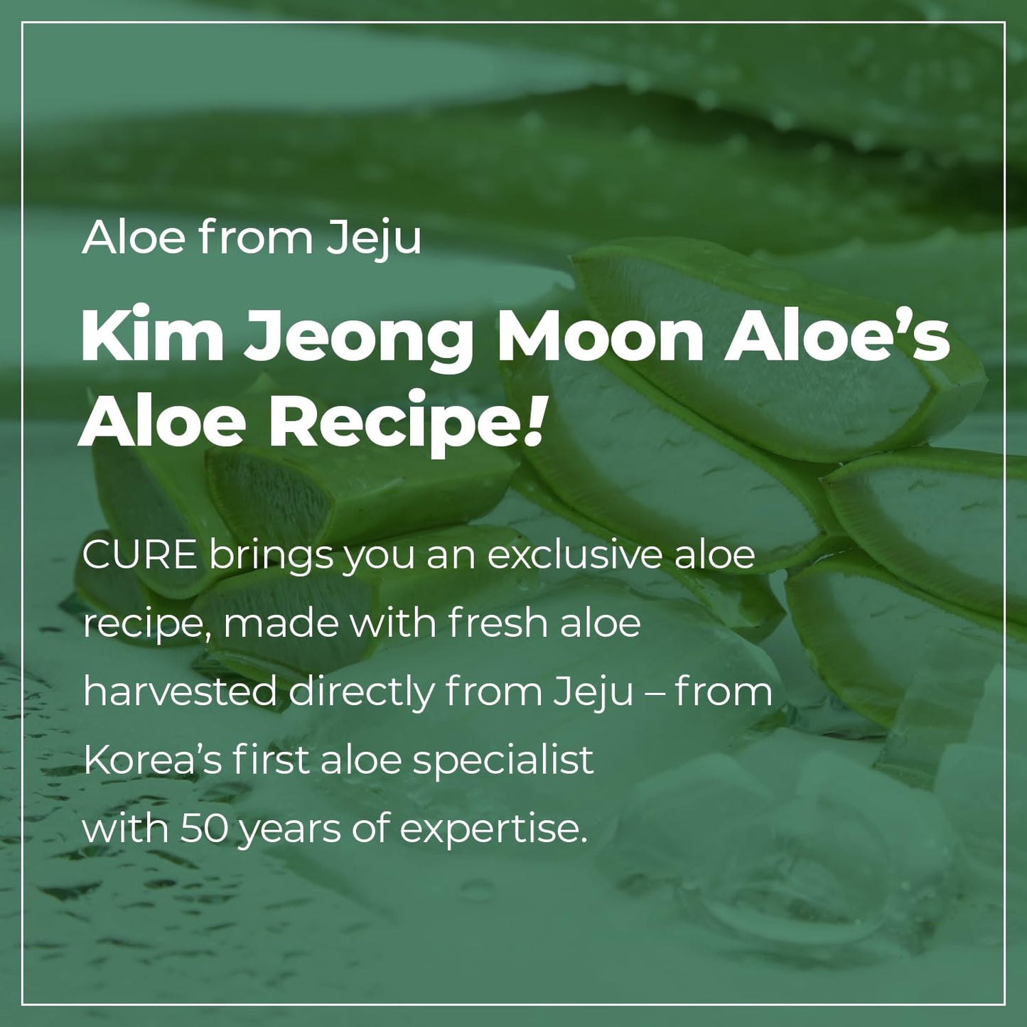 Kim Jeong Moon Aloe CURE Foam Cleanser — Hydrating Korean Face Wash for Sensitive Skin, 3.38 fl oz