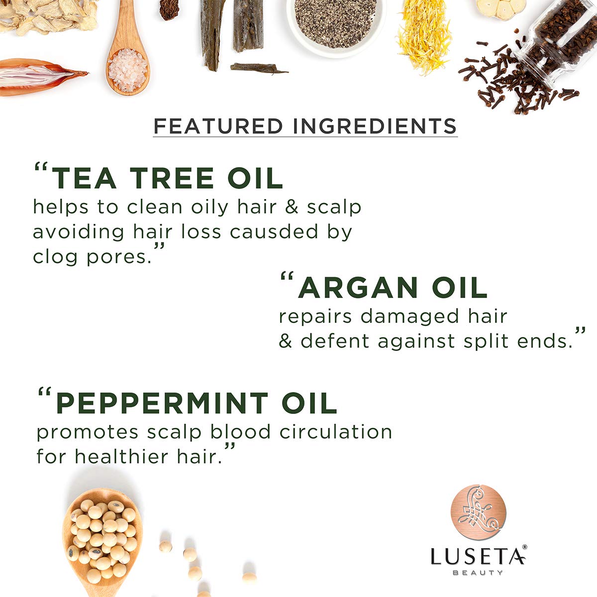 L LUSETA Tea Tree Oil Conditioner – Natural Anti-Dandruff for Dry & Damaged Hair | Sulfate Free & Color-Treated Safe 16.9oz