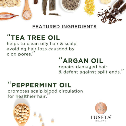 L LUSETA Tea Tree Oil Conditioner – Natural Anti-Dandruff for Dry & Damaged Hair | Sulfate Free & Color-Treated Safe 16.9oz